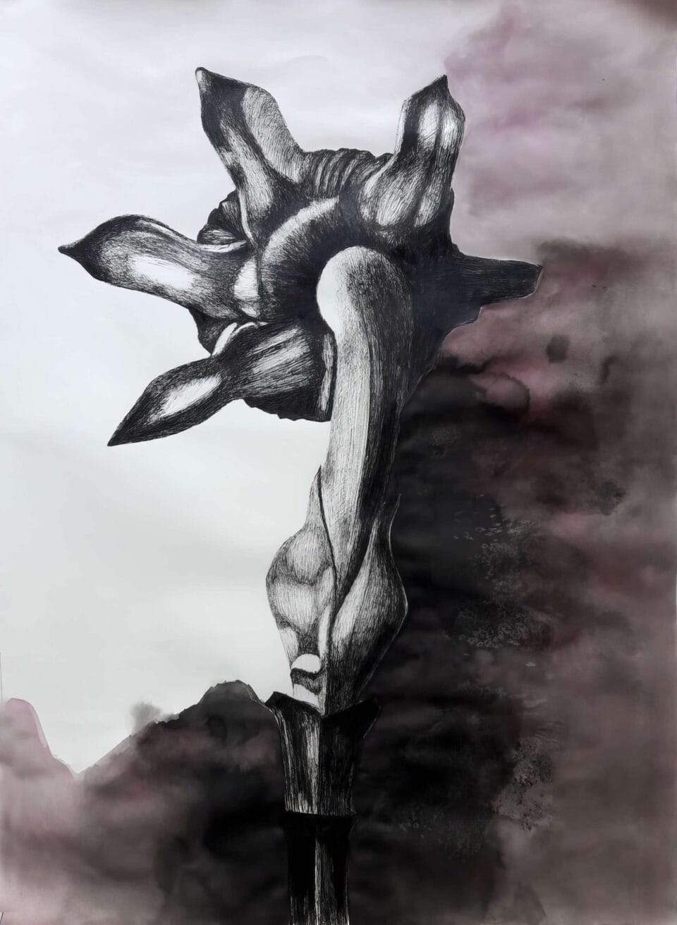 Série Noire 2017 Encre de chine et aquarelle sur papier, 50x65 cm