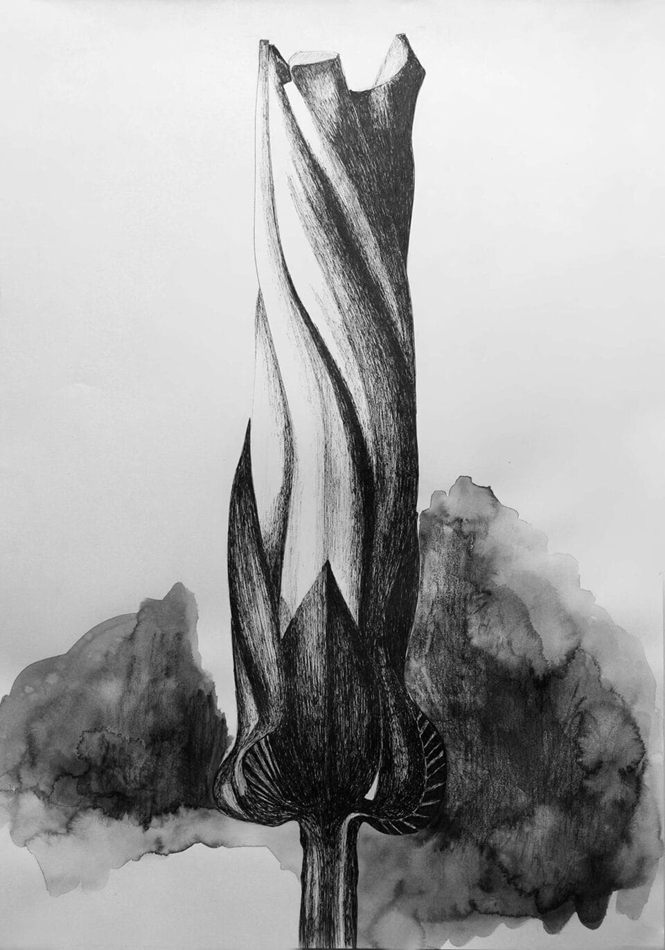 Série noire 2016 Encre de chine sur papier, 42x60 cm