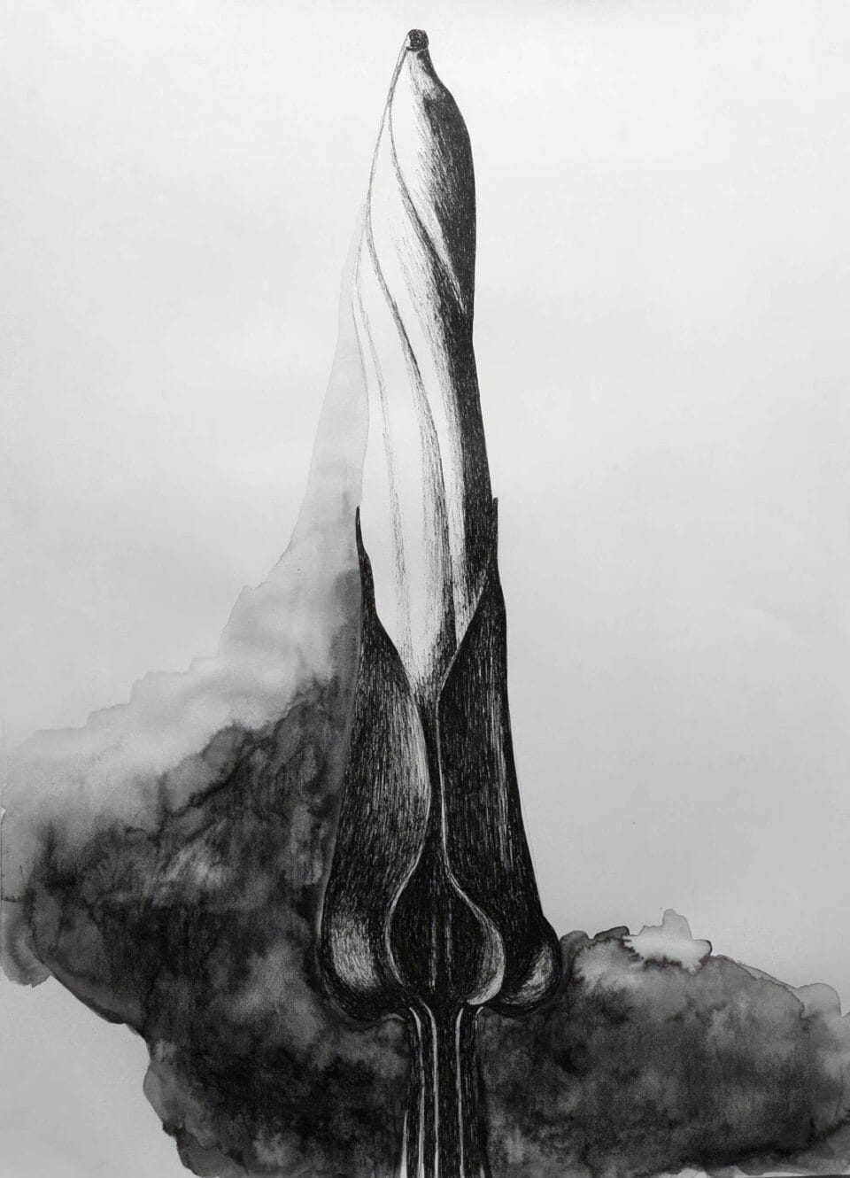 Série noire 2016 Encre de chine sur papier, 50x65 cm